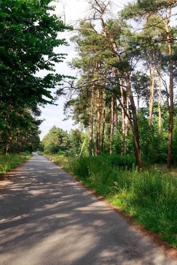 Agroturystyka u Koziołka Dlugowola Zewnętrze zdjęcie